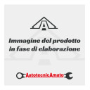 KIT REVISIONE CAMBIO - LIGIER / MICROCAR / JDM - R
